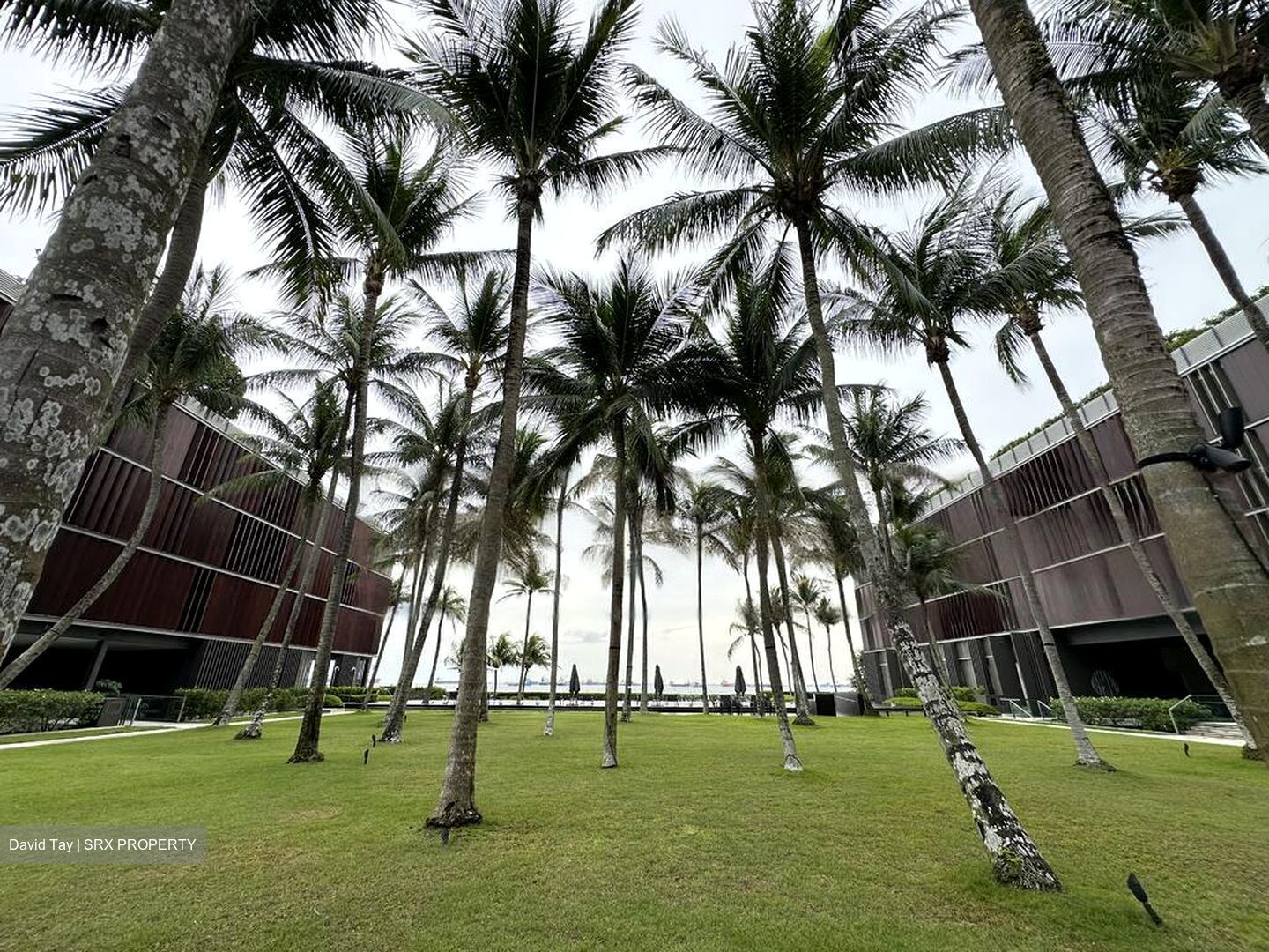 Cove Drive (D4), Condominium #475744691